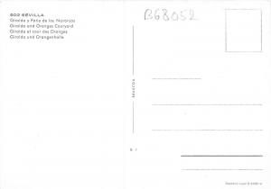 B68052 Spain Sevilla Giralda and Oranges Courtyard