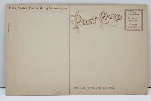 Cambridge Massachusetts Johnston Gate, Harvard College c1910 Postcard B4