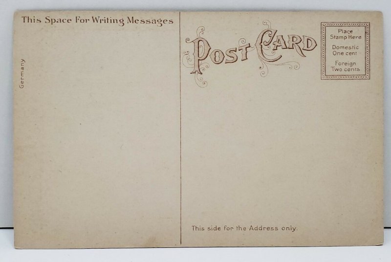 Cambridge Massachusetts Johnston Gate, Harvard College c1910 Postcard B4