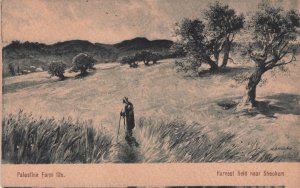 Judaica Palestine Farm Life Harvest Field Israel Old Postcard