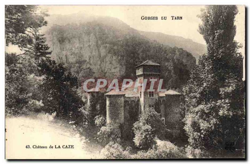 Old Postcard Chateau de la Caze Tarn Gorges
