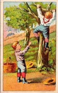Trade Card - Gold Medal Coffee - Boys Climbing Trees