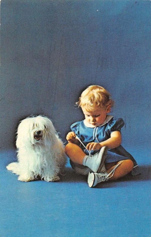 Wilingboro New Jersey Boston Juvenile Shoes Baby with Dog Postcard AA49289