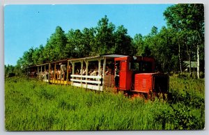 Trains~The Toonerville Trolley To Tahquamenon Falls~LL Cook Vintage Postcard