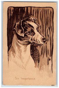 Tappen North Dakota ND Postcard Terrier Dog Animal Sir Importance 1908 Antique