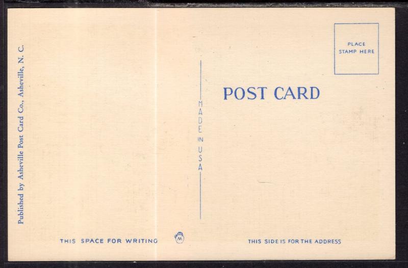 Hawk's Bill Mountain,NC