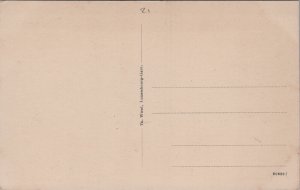 Luxembourg Les Trois Glands Vintage Postcard C050