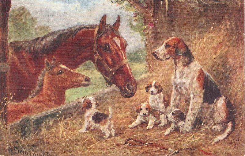 Norah Drummond. Horses and Dogs Tuck Oiette Chums Ser. PC # 8646