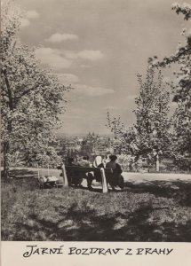 Prague Park Bench Real Photo Greetings Czech Republic Postcard