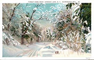 New York Adirondacks Saranac Lake Forest Home Road In Winter Curteich