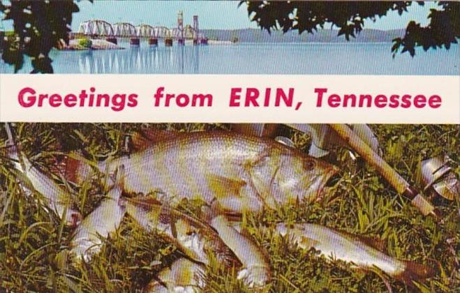 Kentucky Greetings From Erin Showing Kentucky Lake Bridge and Day's Catch Fis...