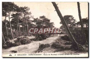 Old Postcard Arcachon Silver Coast Road through the Park Moulleau Abatilles