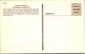 Postcard BRIDGE SCENE Pine Mountain Georgia GA AN8192