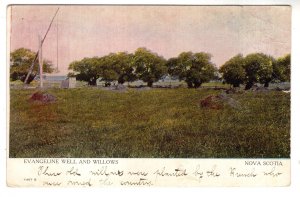 Evangeline Well and Willows, Nova Scotia Warwick,