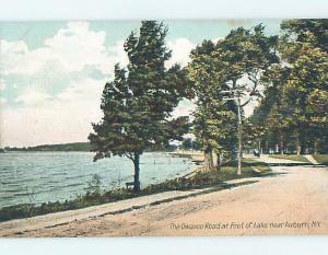 Pre-1907 LAKE SCENE Finger Lakes - Auburn New York NY A1078