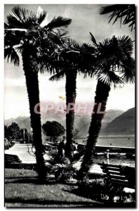 Modern Postcard Locarno Lungolago