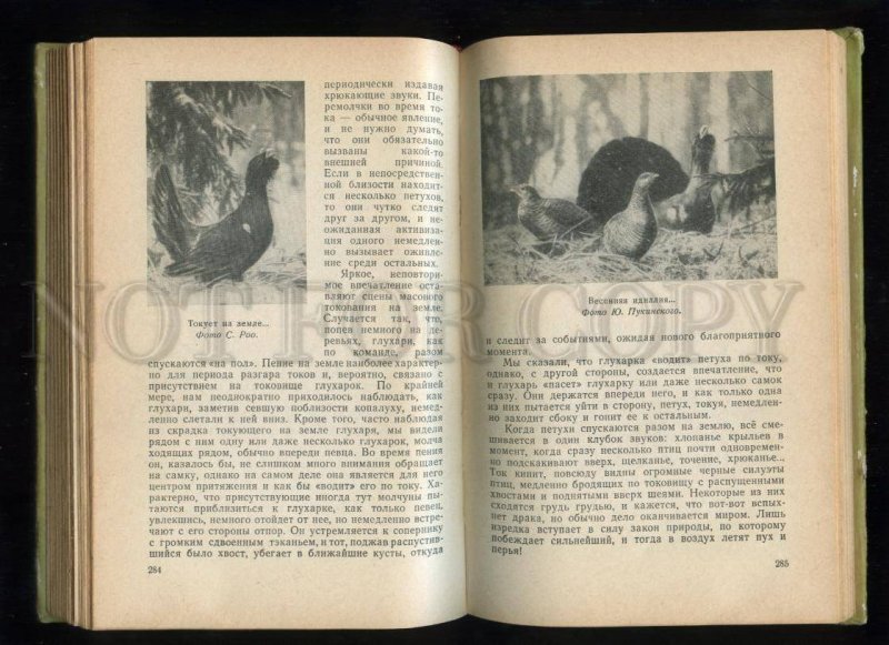 143968 4 Compilation OUR HUNTING Fishing 1968 russian BOOK