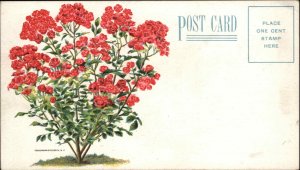 Adrian Michigan MI Spielman Bros Flowers Nursery c1910 Vintage Postcard