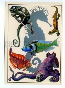 152570 Seahorse Chameleons octopus sea dog old Russian PC