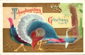 Thanksgiving Greetings With Turkeys