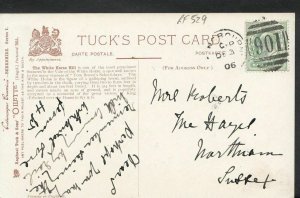 Genealogy Postcard - Roberts - The Hazel, Northiam, Sussex  RF529