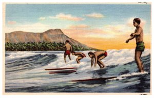 Hawaii  Surfing