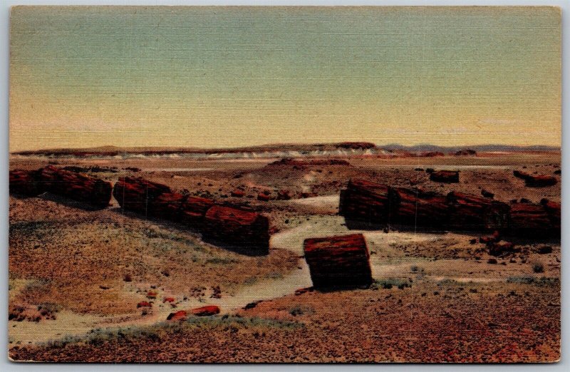 Vtg Arizona AZ Petrified Forest Logs In Third Forest 1950s View Linen Postcard