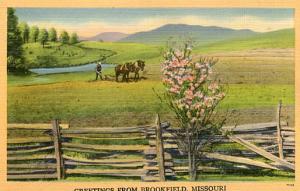 Greetings from Brookfield, Missouri