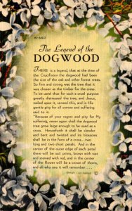 The Legend Of The Dogwood