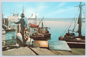 State View~Cape Cod MA~Artist At Work~Provincetown Fish Pier~Boats~Vintage PC