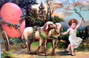 Easter Postcard Fantasy Lambs Hauling Giant Egg Carriage PFB 5837 Germany 1909