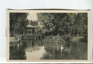 443217 Estonia Narva Joesuu pond with swans Vintage photo postcard