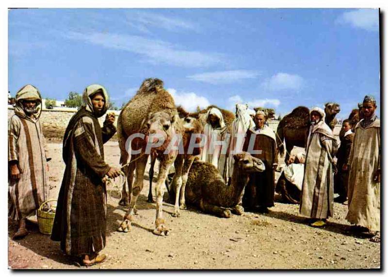 Modern Postcard The Picturesque Morocco Stop Desert