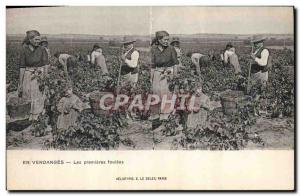 Old Postcard Wine Harvest First Strides