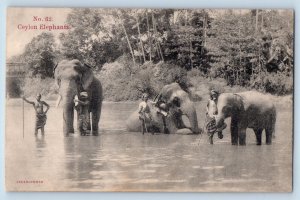 Sri Lanka Postcard Ceylon Elephants in River c1910 Unposted Antique