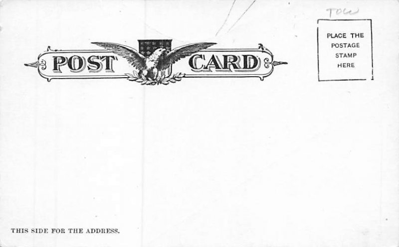 Witch on broom Halloween View Images