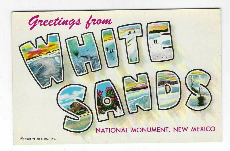 1950s Greetings from White Sands New Mexico Chrome NOS Postcard