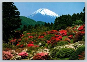 Stunning Early Spring View of Mt. Fuji In Japan 4x6 Vintage Postcard 0456