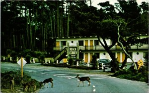 Postcard CA Pacific Grove Beachcomber Motel & Restaurant Deer RARE 1960s K17