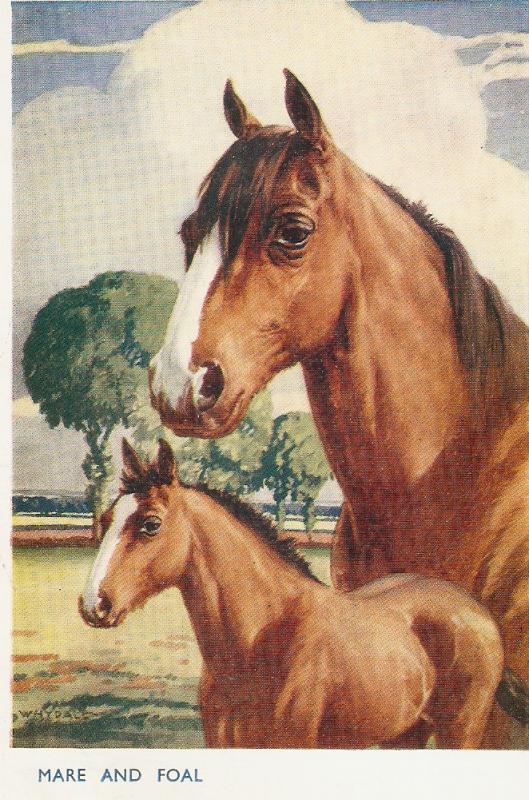 F.E.Valter. Horses.Mare and Foal Lovely Valentine Postcard