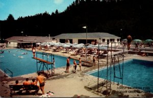 California Boulder Creek Forest Swimming Pool