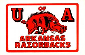 Arkansas Fayetteville University Of Arkansas Razorbacks