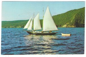 Sailing in bay of Islands, Newfoundland