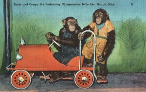 VINTAGE POSTCARD SUSIE AND CONGO PERFORMING CHIMPANZEES DELLE ISLE DETROIT MICH