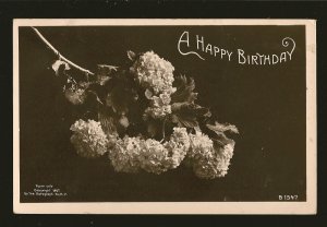 Copyright 1907 A Happy Birthday Real Photo Postcard Postmarked Barrie Ont 1910