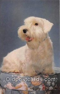 Sealyham Terrier Dog Unused 