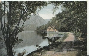 Scotland Postcard - Path by Loch Katrine - Stirlingshire - Ref TZ6300