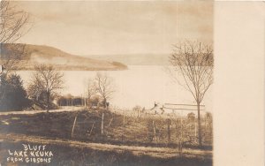 J59/ Lake Keuka New York RPPC Postcard c1910 Bluff Scene Shore  79