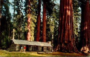 California Yosemite Mariposa Grove Museum 1965