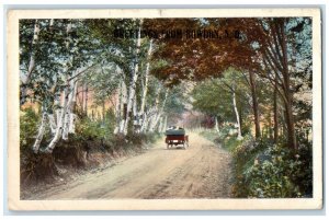 1917 Greetings from Bowdon North Dakota ND Horse Carriage Antique Postcard